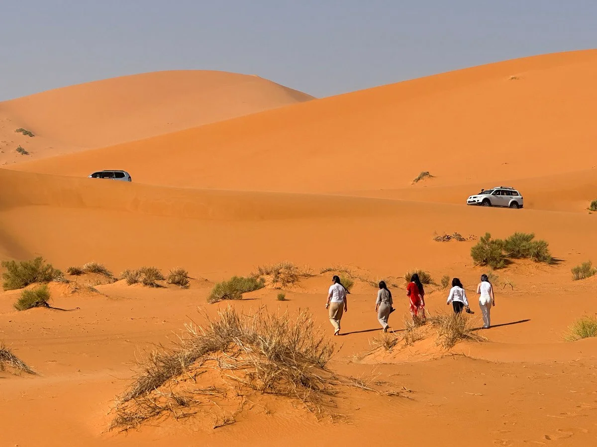 Morocco Desert Lines