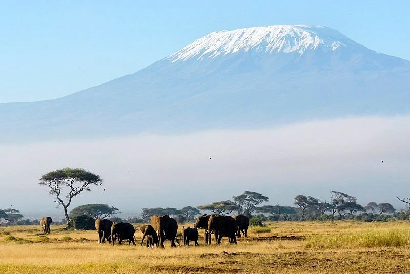 Wild Gaze Safaris Ltd