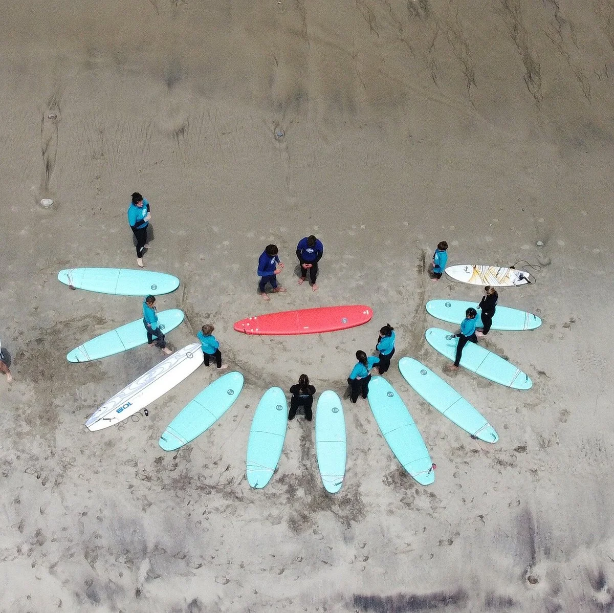 Salty Jackal Surf School