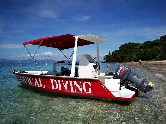 Tropical Diving