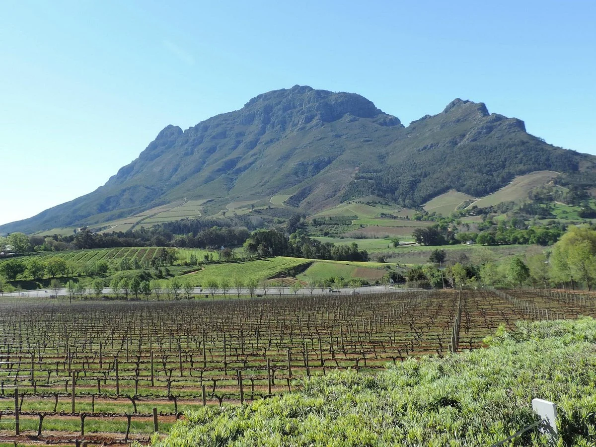 Topnotch Tours - Day Tours