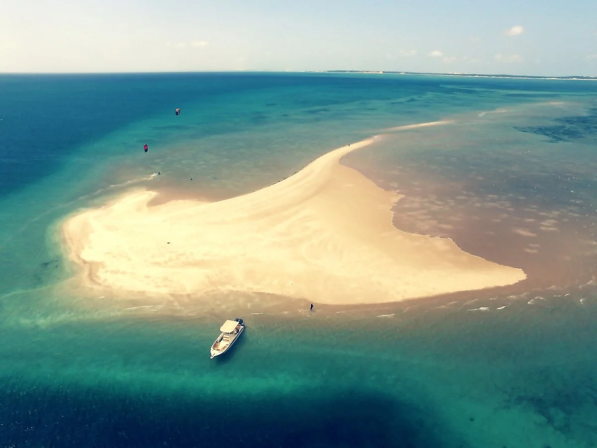 Wild Africa Ocean Safaris