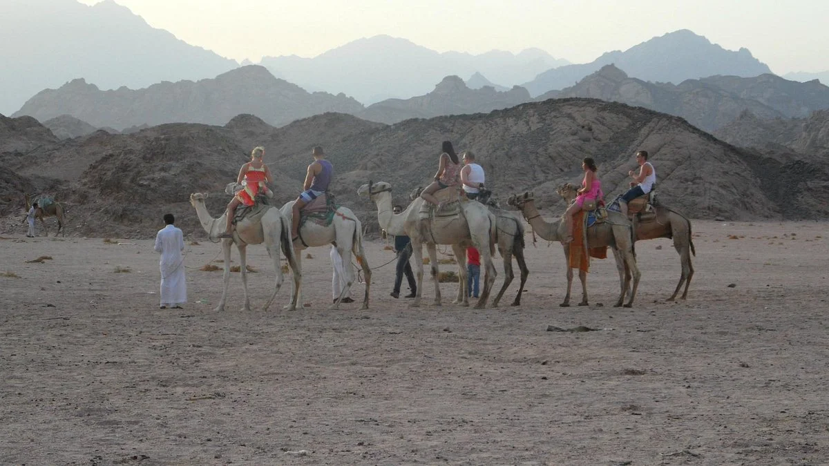 Sokar Safari