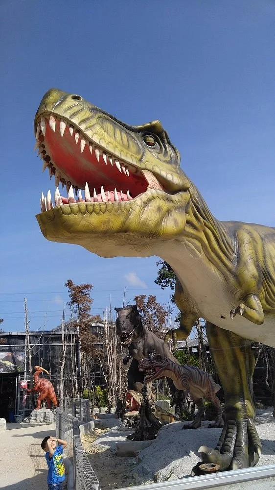 Don Hu Jurassic Garden Muar