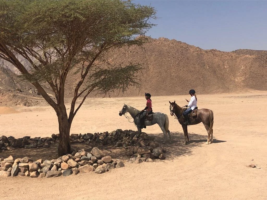 Equestrian Dream Egypt