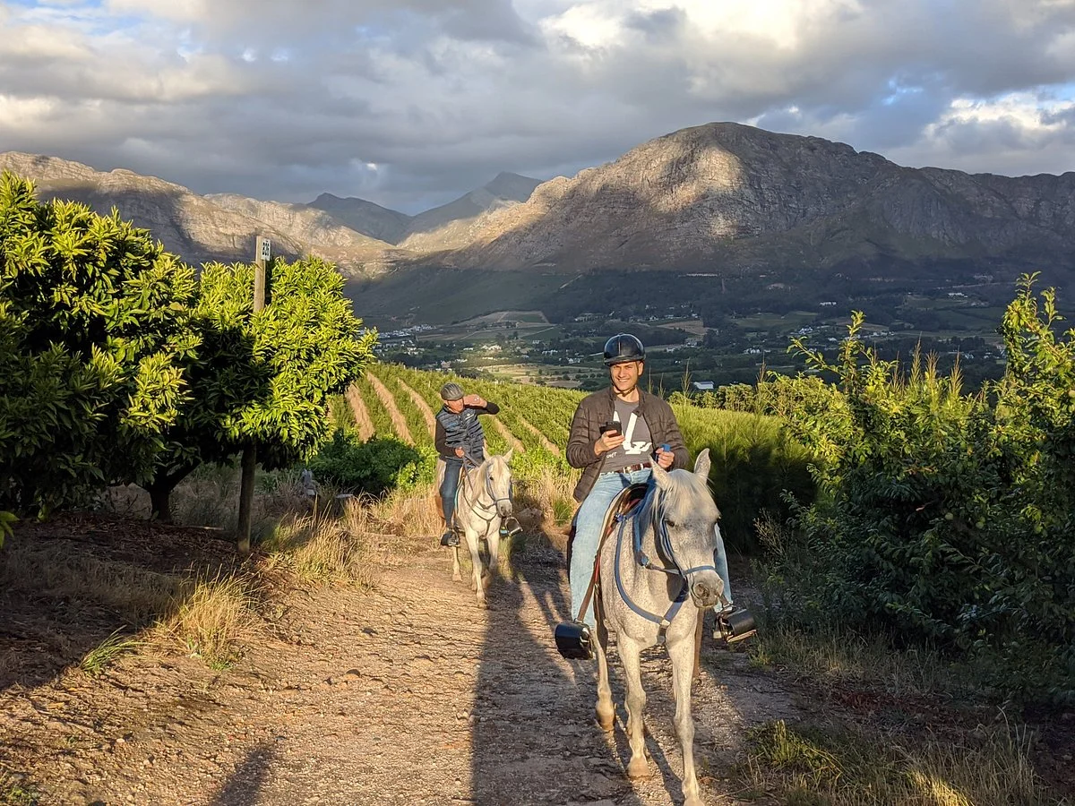 Paradise Stables