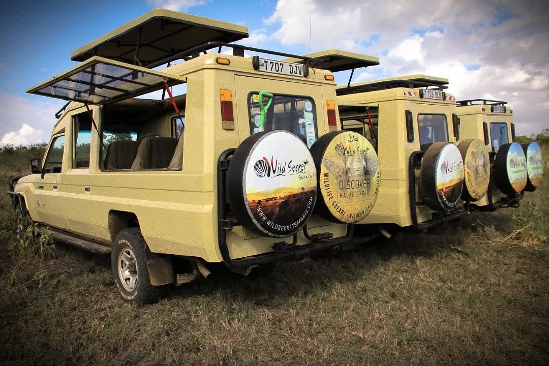 Wild Secret Safaris