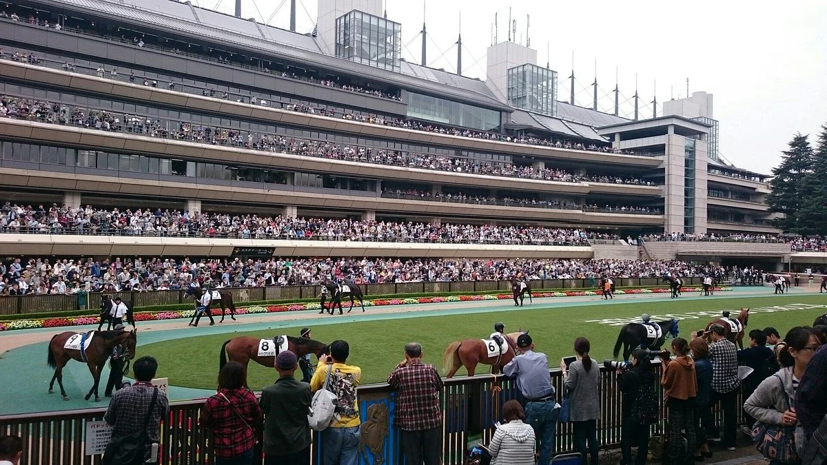 Tokyo Horse Racetrack