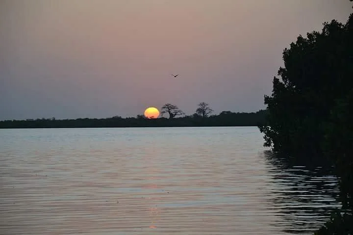 Diegane Diouf Senegal Guide