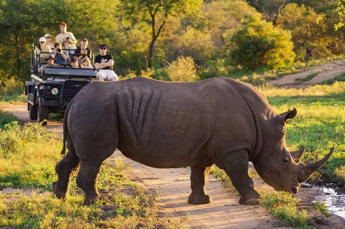Amatungulu Tours