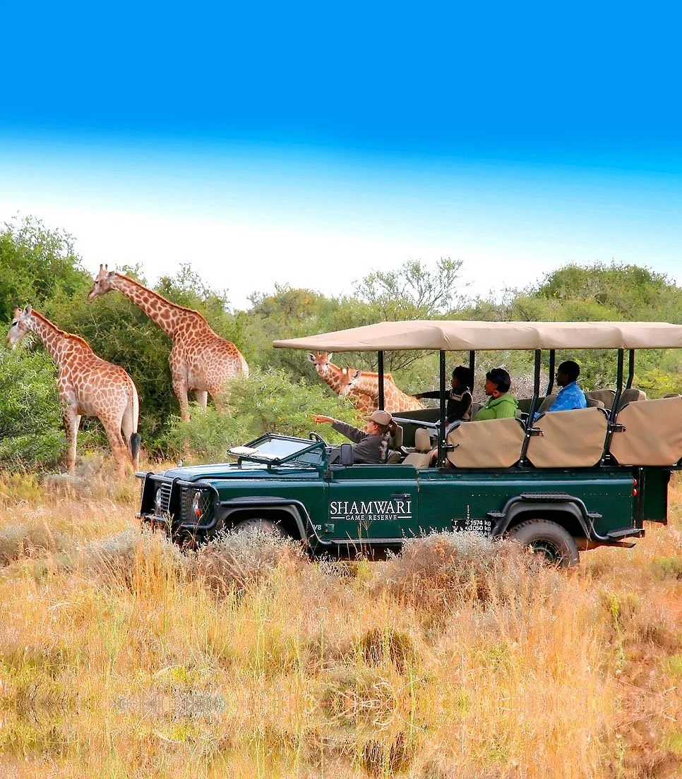 Touring South Africa - Day Tours