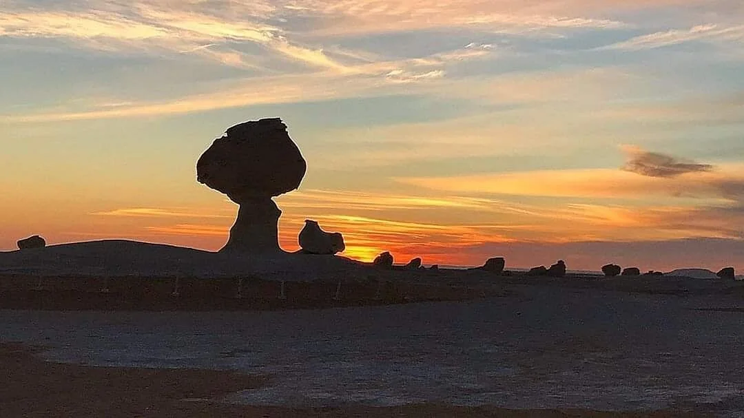 White Desert Safari Tours