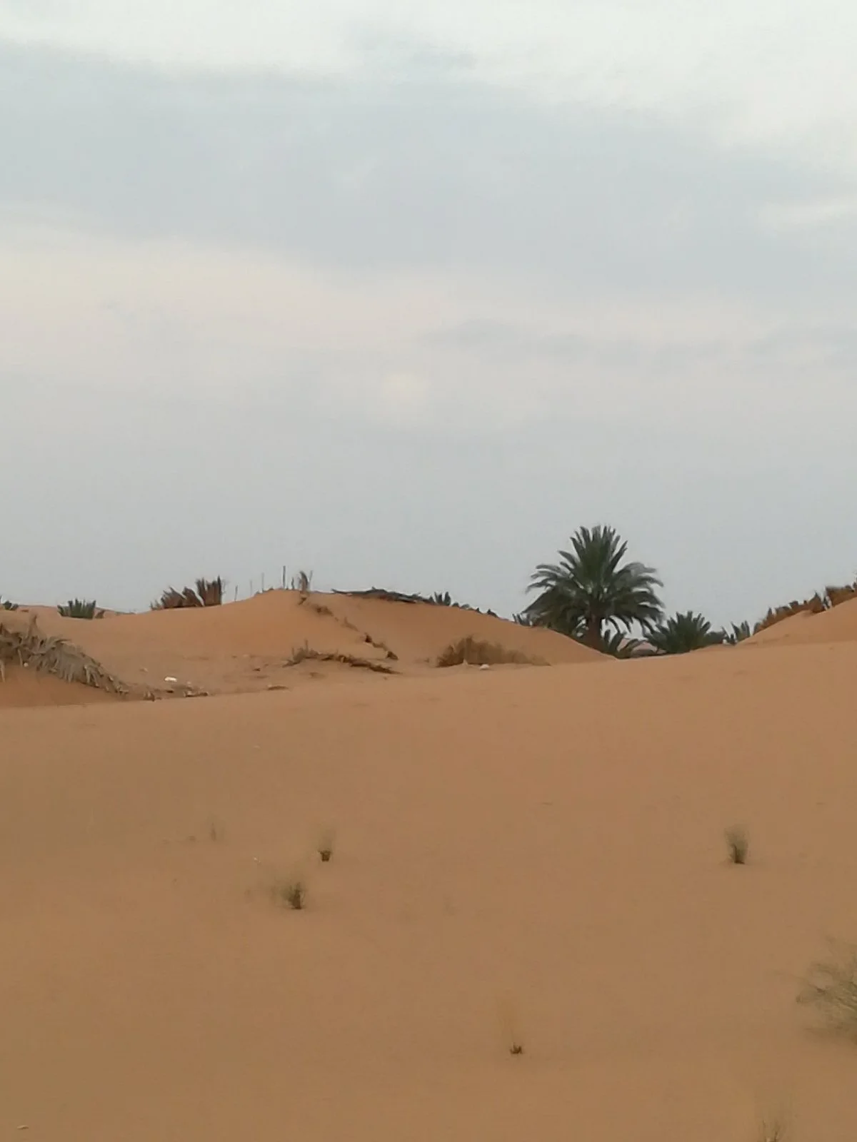 Travel Inside Morocco