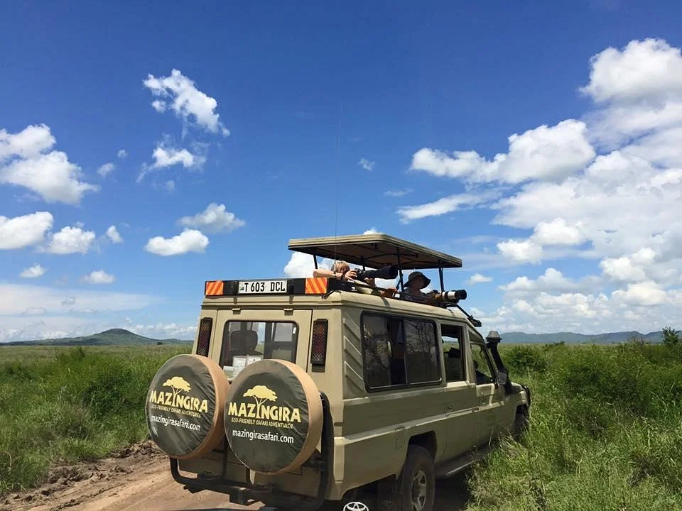 Mazingira Safari