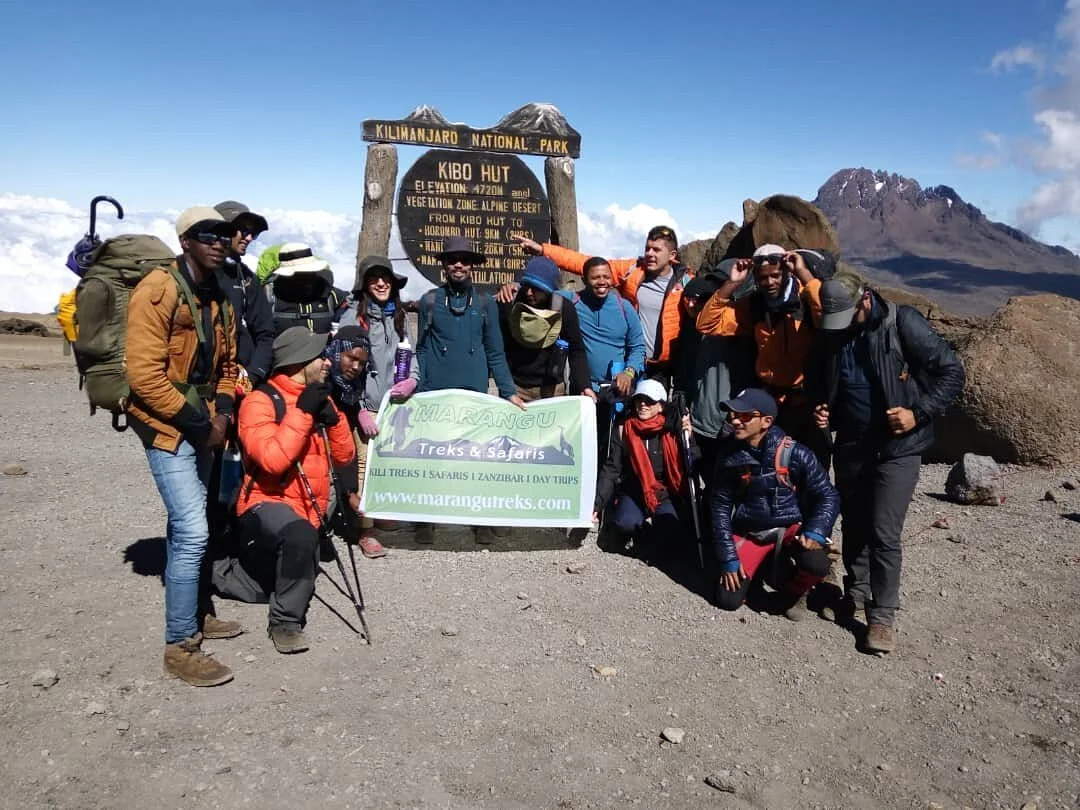 Marangu Treks & Safaris