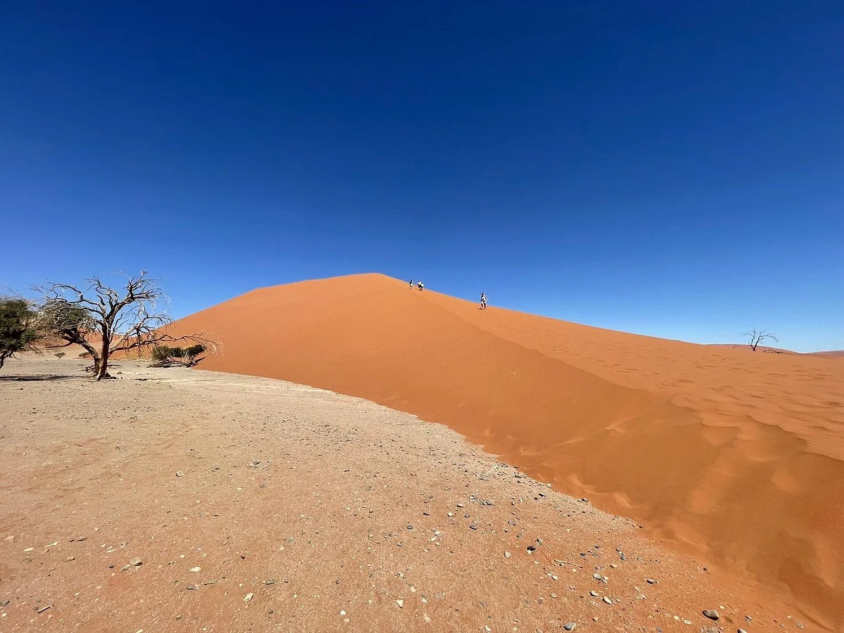Melbic Car Rentals, Tours & Travel