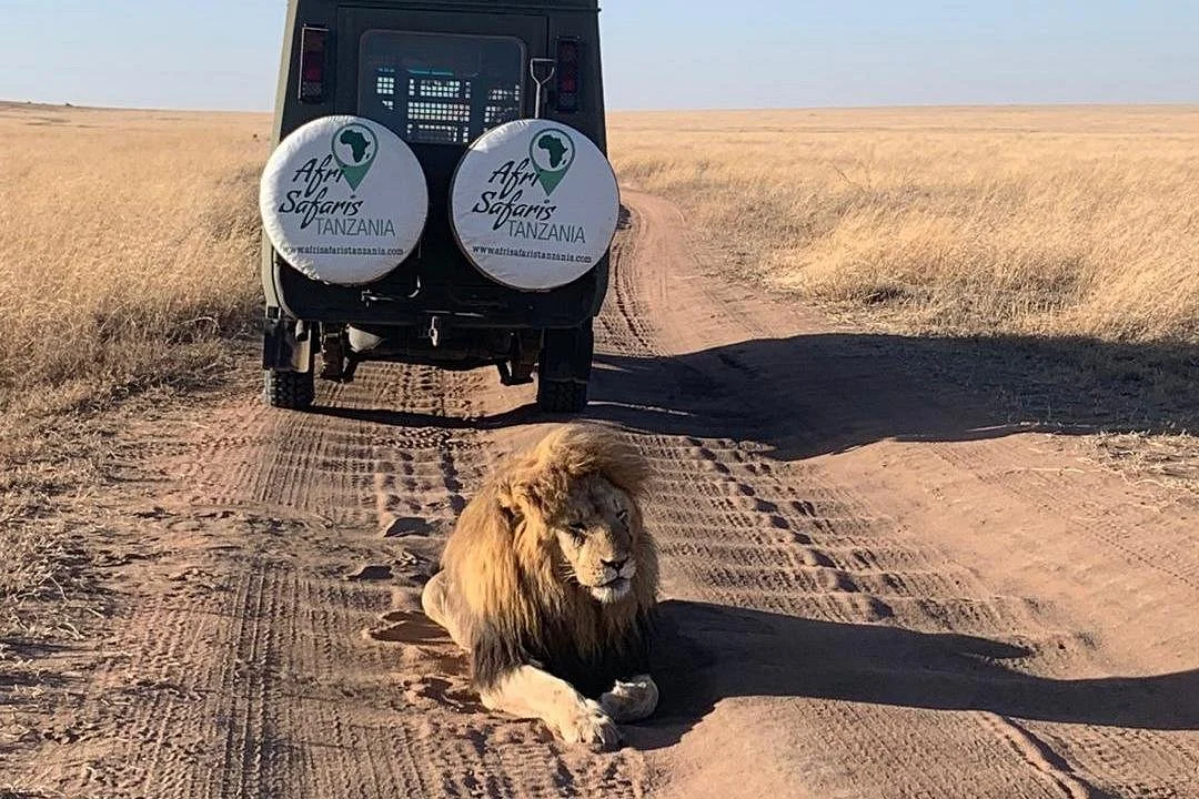 AfriSafaris Tanzania