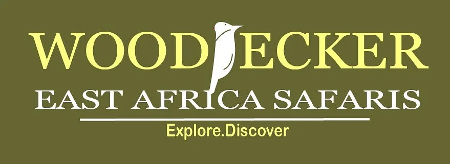 Woodpecker East Africa Safaris