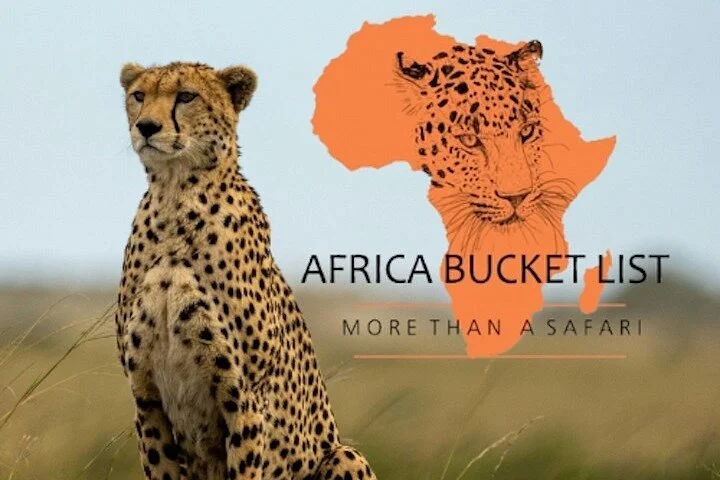 Trekkers And Safaris