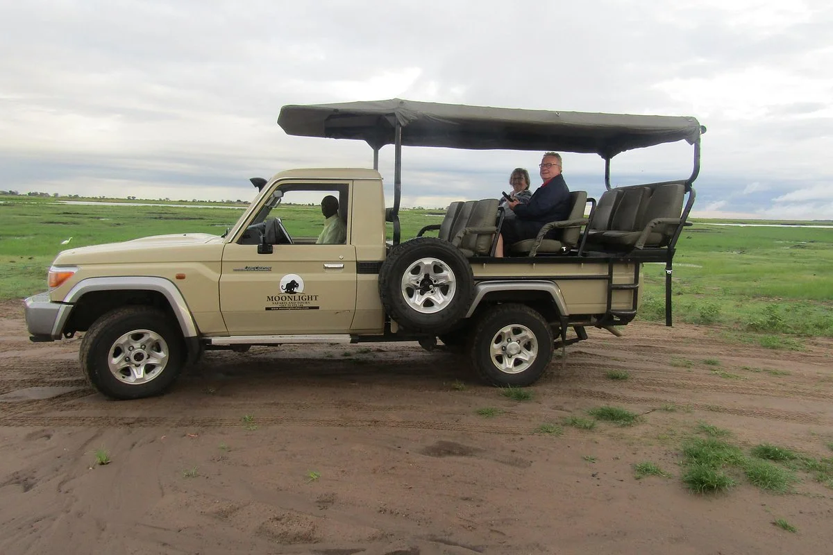 Moonlight Safaris