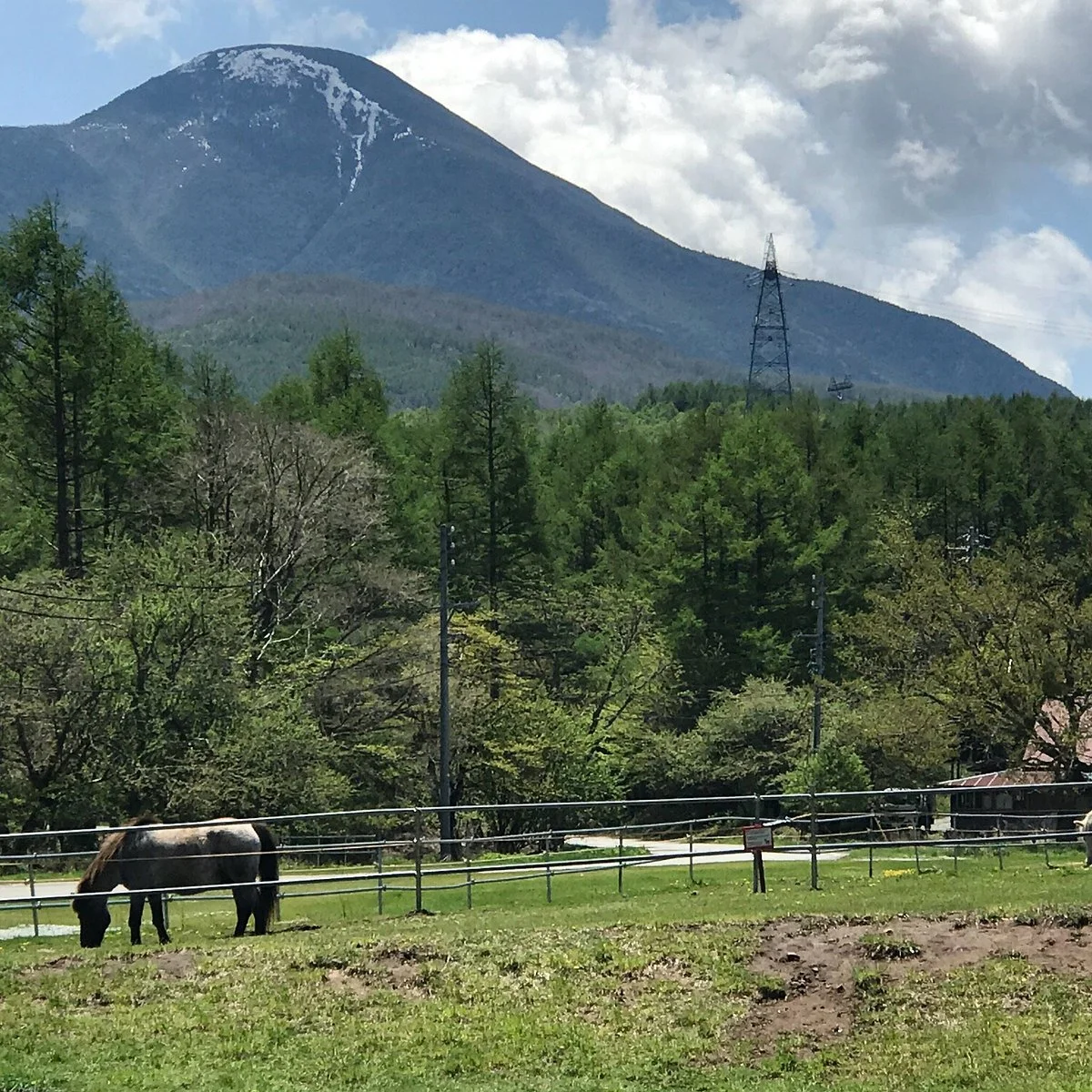 Nagato Farm