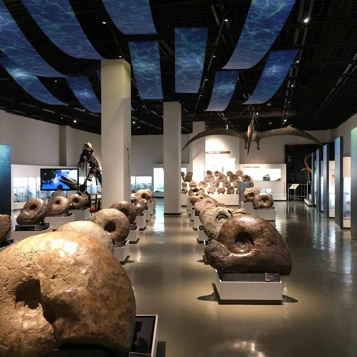 Mikasa City Museum