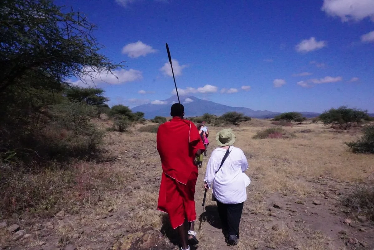 Africa Safari Experts Day Tours