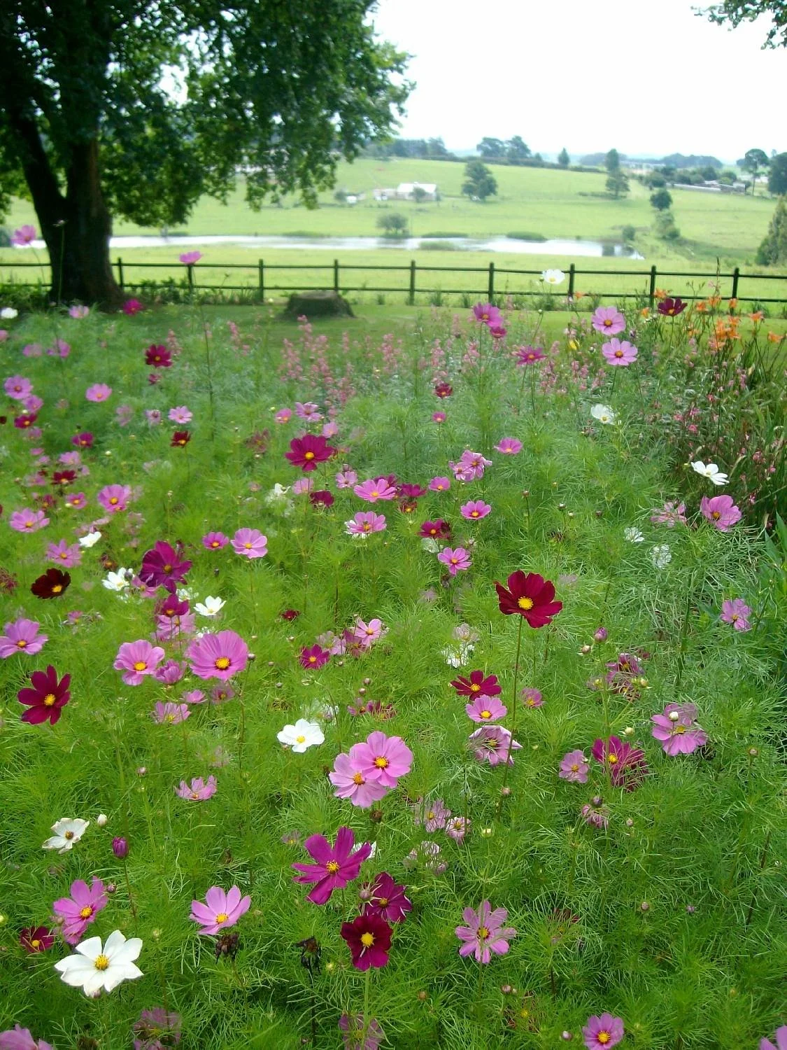 Midlands Meander