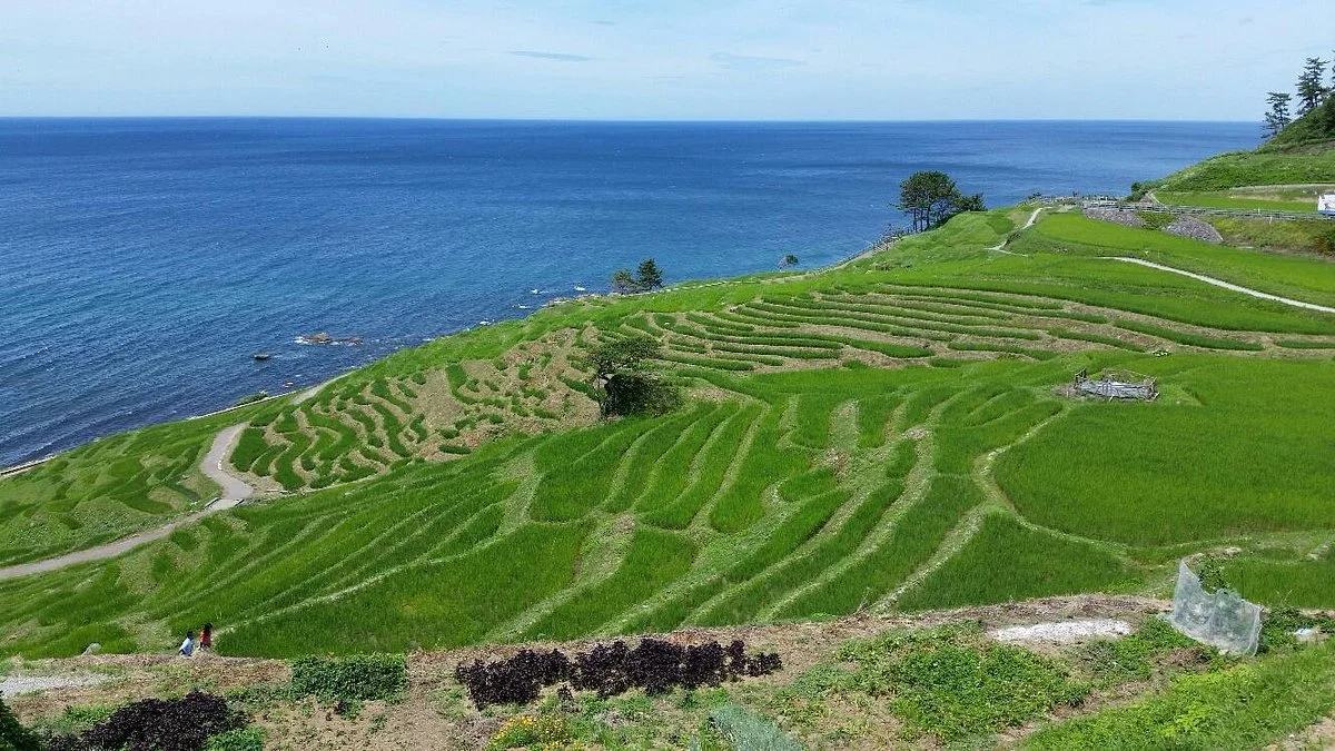 Michi-no-Eki Senmaida Pocket Park