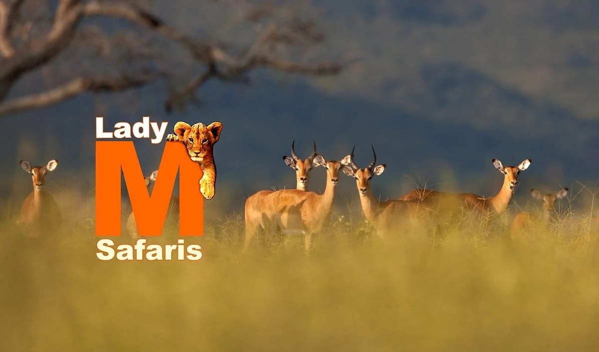 LadyM Safaris