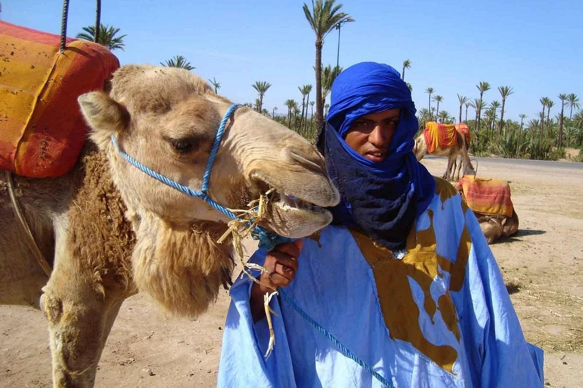 morocco private trips