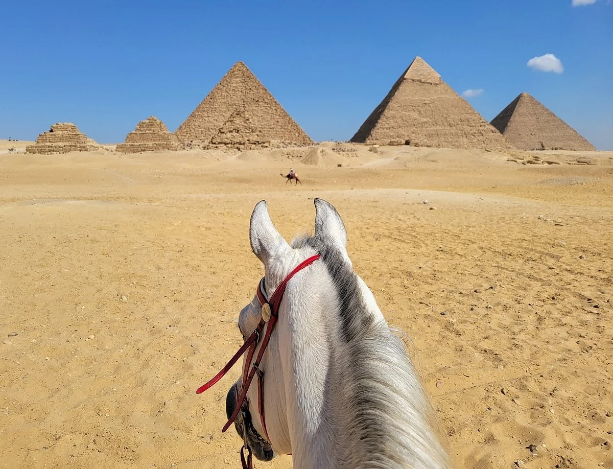 Horses & Hieroglyphs