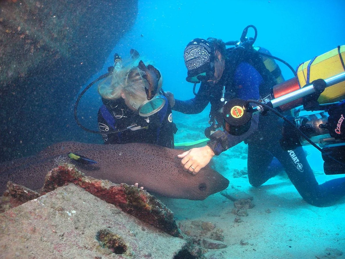 Easy Dive Mauritius