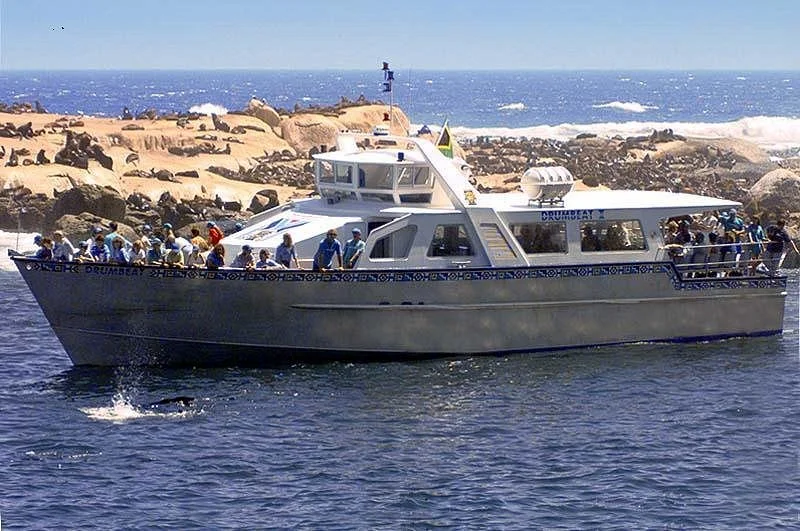 Drumbeat Charters
