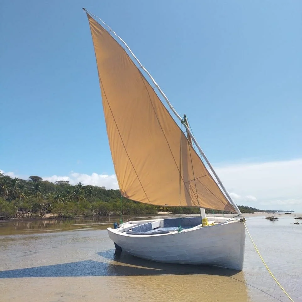 Traditional Dhow Safaris