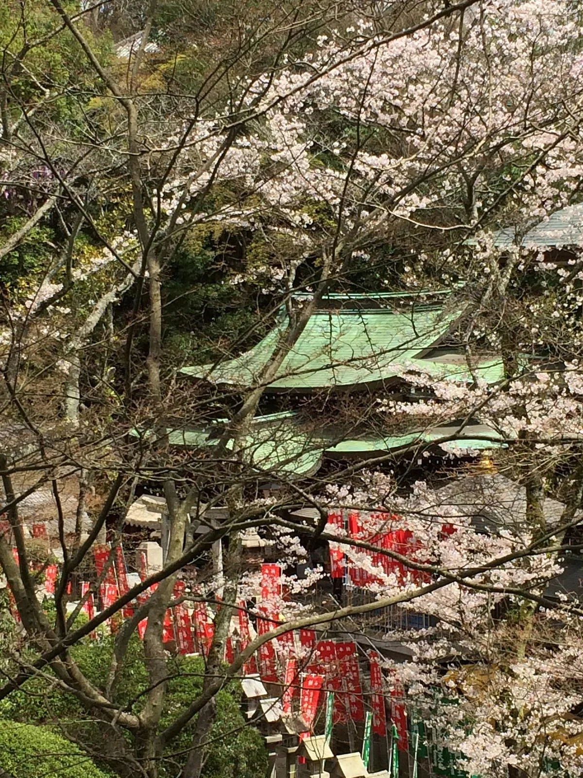 Mt. Shigi