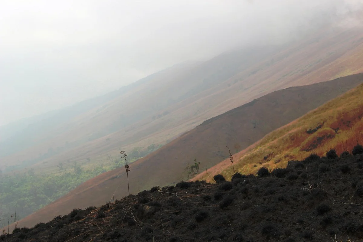 Hady Guiding Services - Day Tours