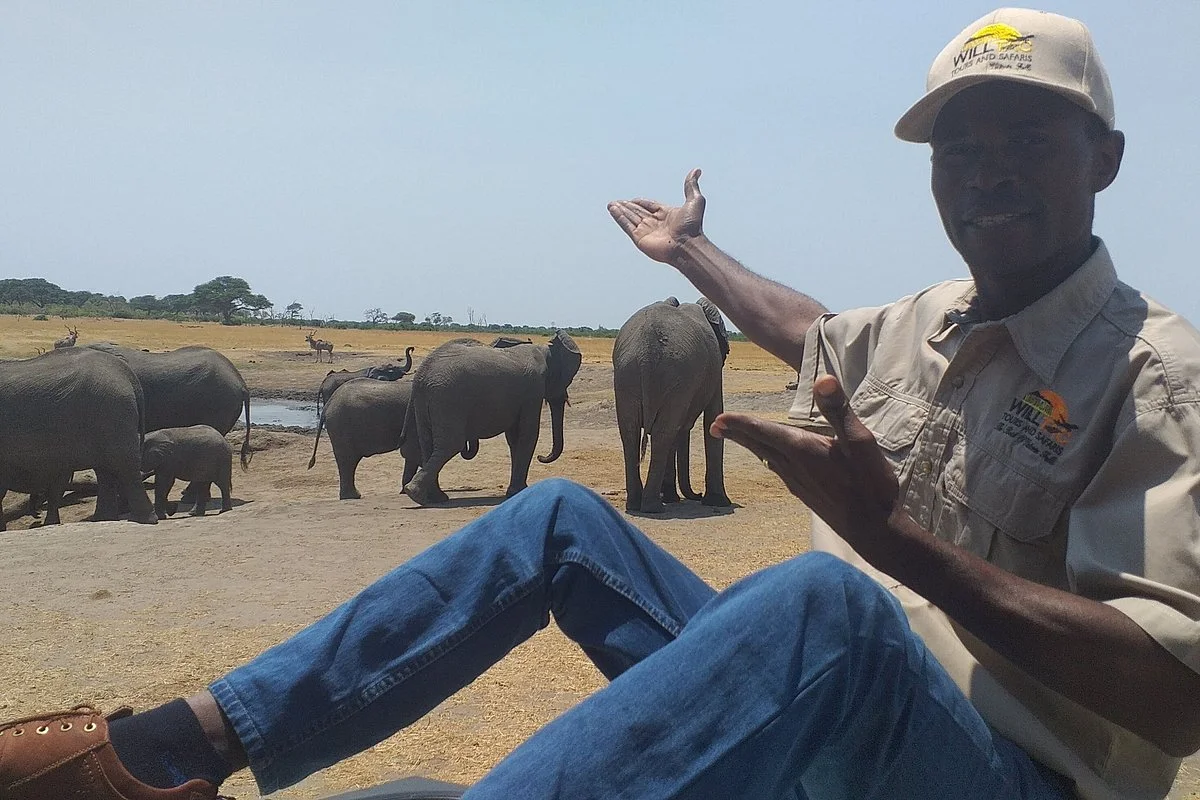 Willtac tours and safaris