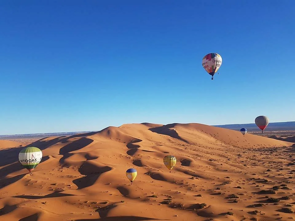 CamelTours