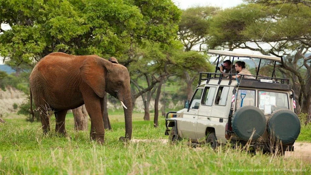 Tanzania Private Tours