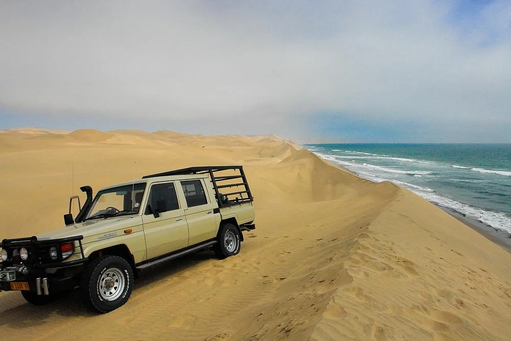 Desert Tracks Bookings & Safaris