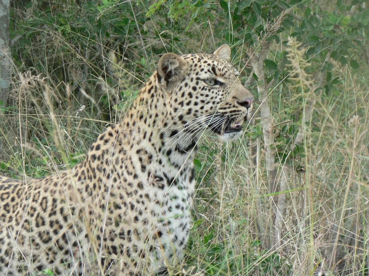 Southern Circle Tours & Safaris