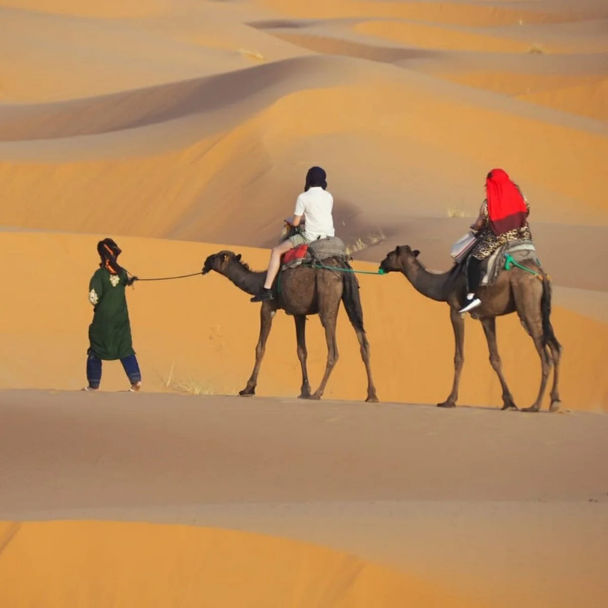 Morocco Tours Excursion