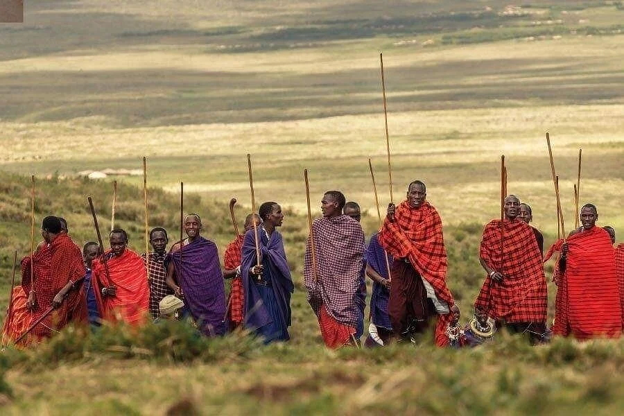 Pride of Maasai Tours