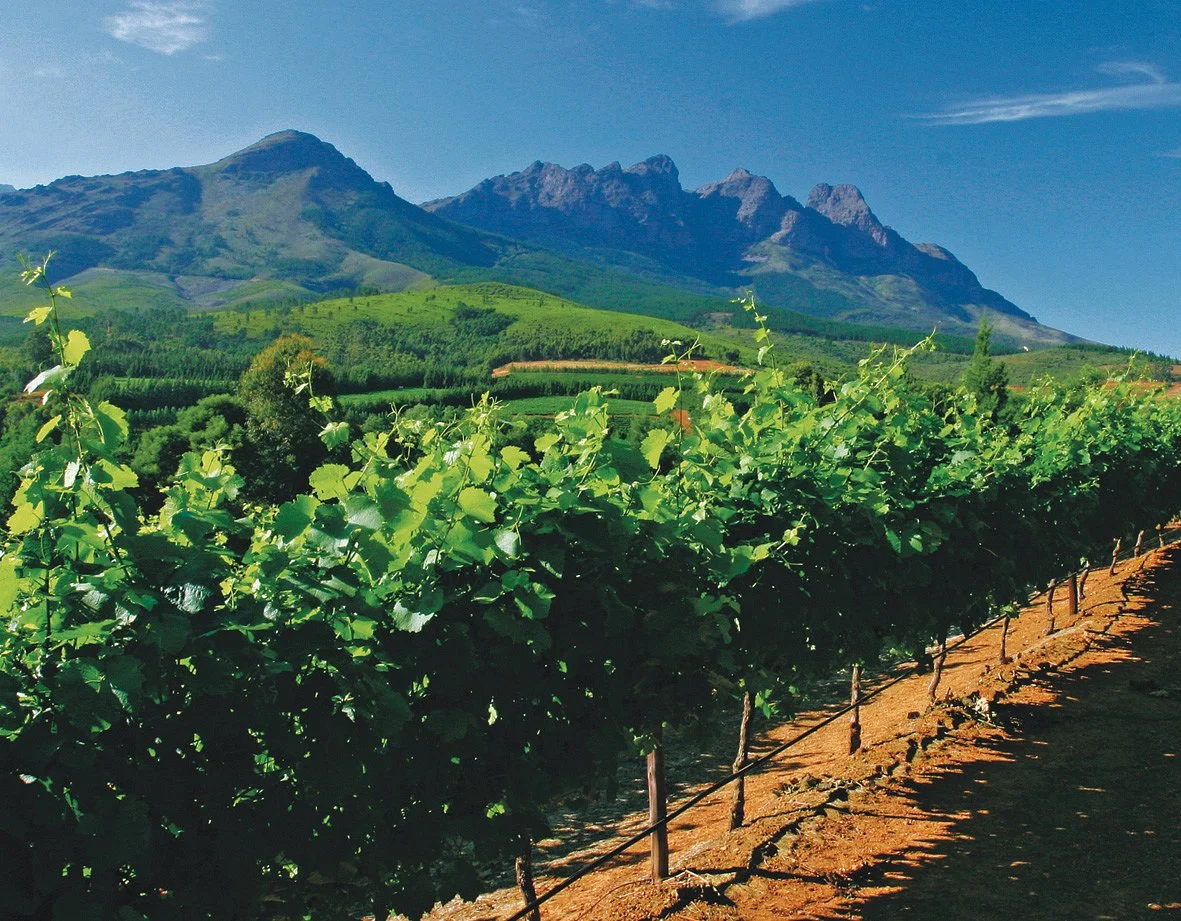 Doolhof Wine Estate