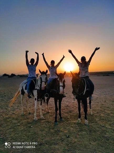 Gamila Stable Club Horse and Camel Riding