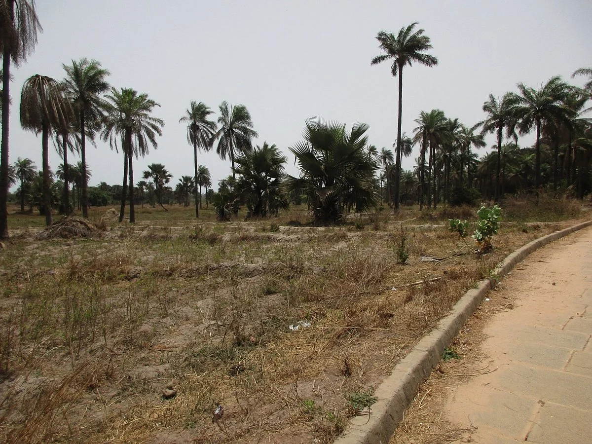 Gambia Santosu Drives Experiences