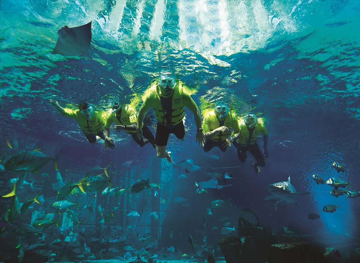 The Lost Chambers Aquarium