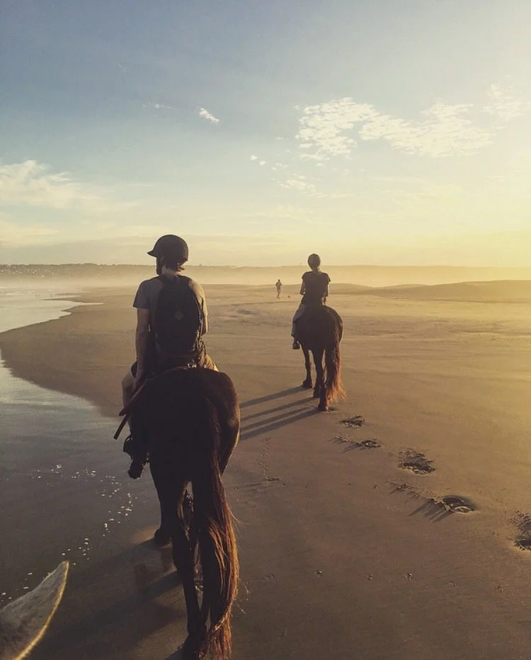 Featherfoot Beach Horse Trails & Riding School