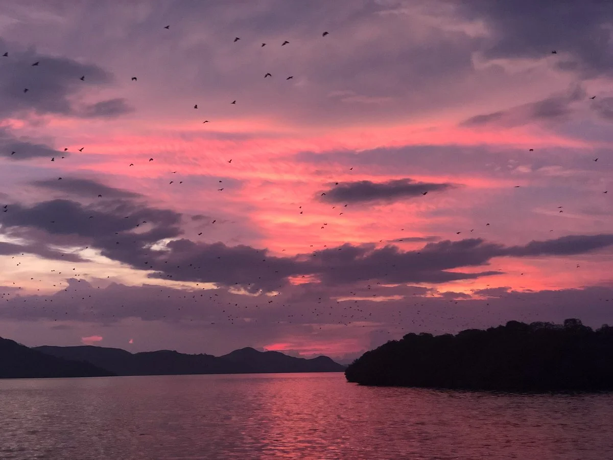 Kalong (Flying Foxes) Island